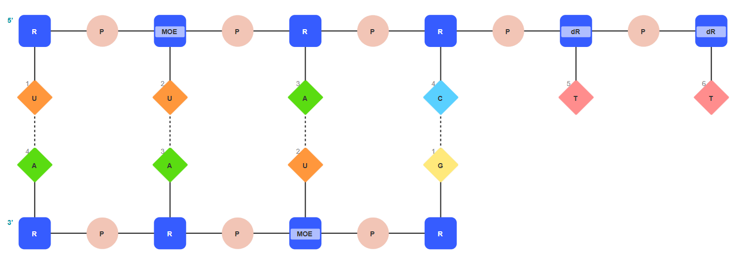 Antisense